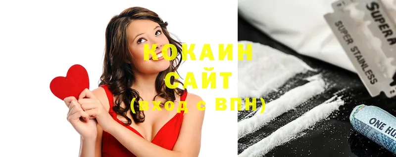 Cocaine FishScale  гидра   Бийск  магазин продажи  